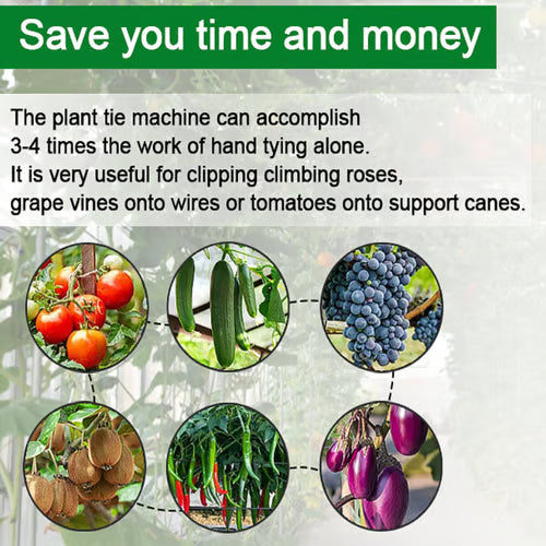 آلة ربط النباتات